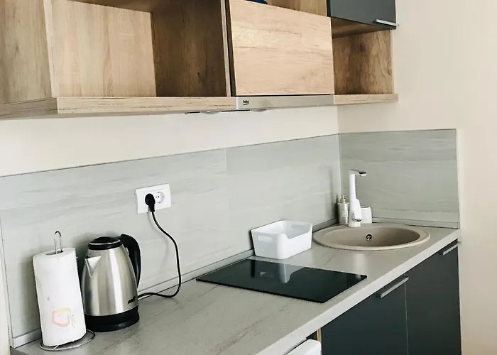 דירה Sova נובי פאזאר